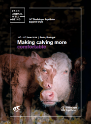 Poster for the 14th FAWB