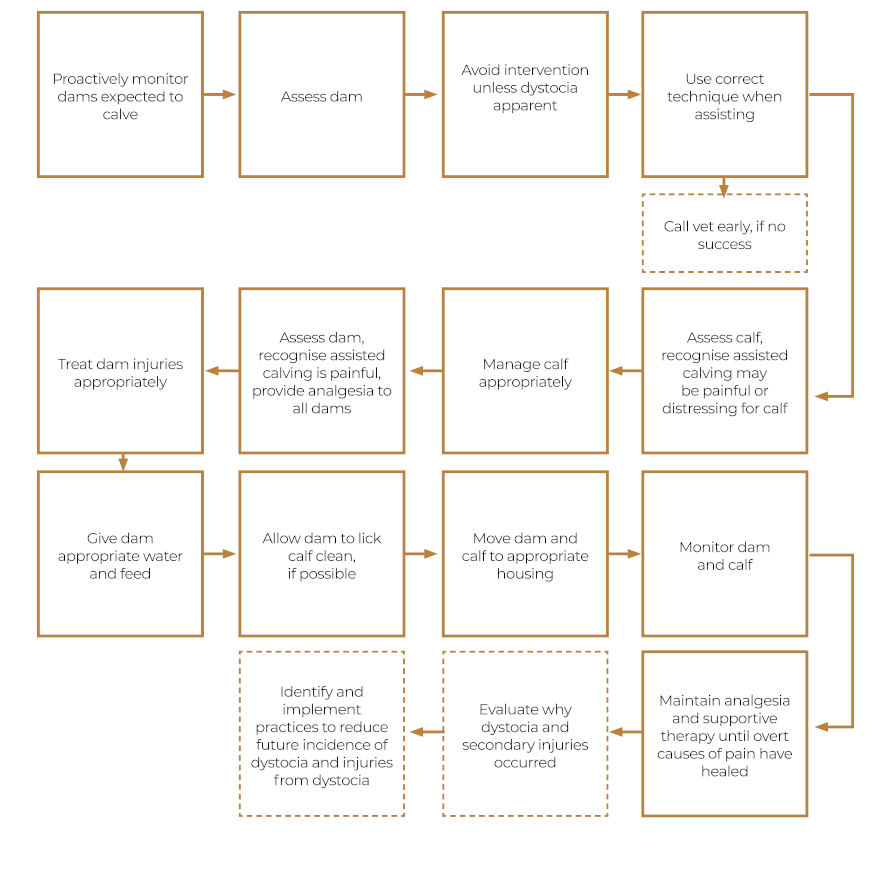 Stage-2 best practice