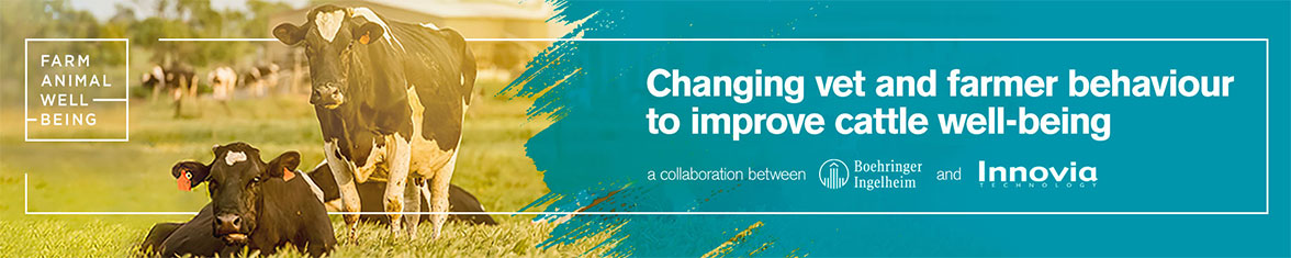 Farm animal well-being