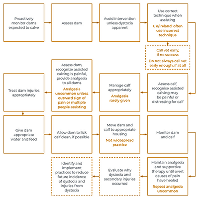 Usual farmer behaviour